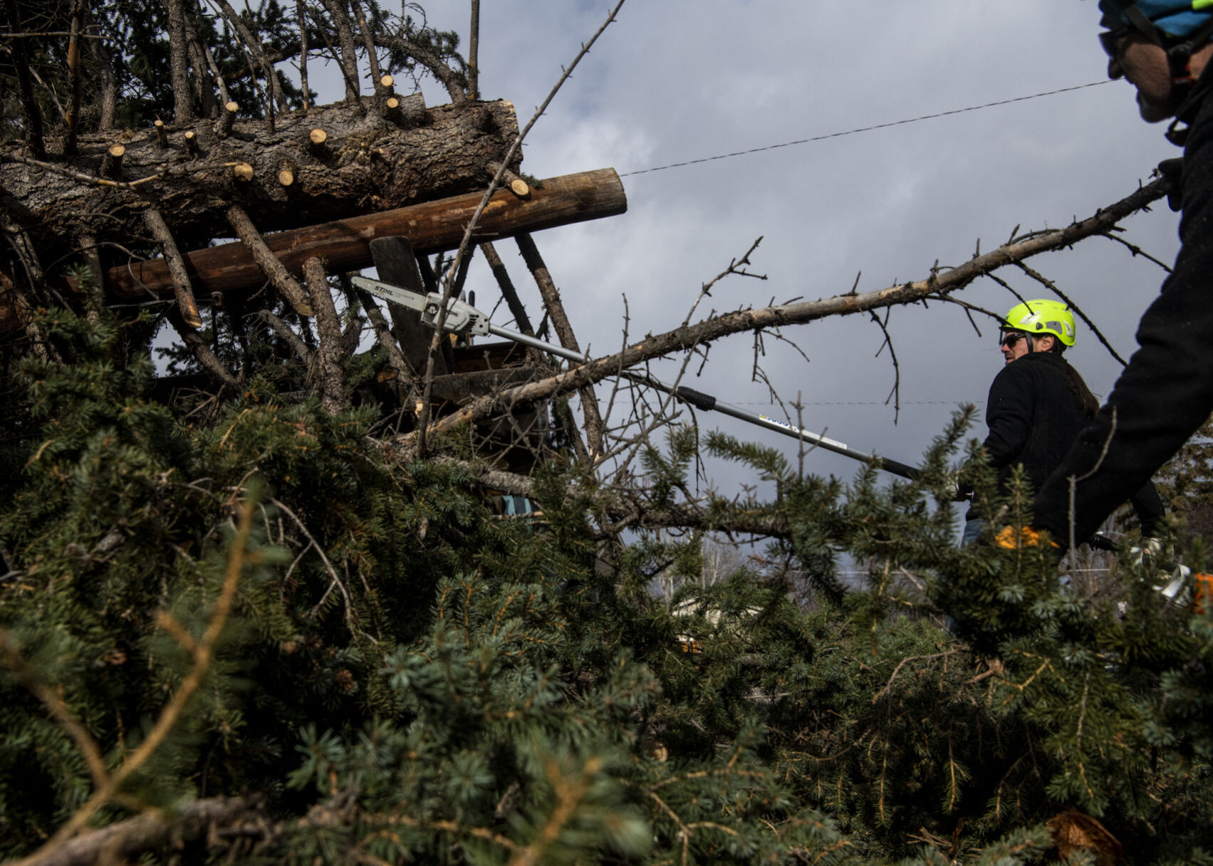 Wind storm in Missoula 06